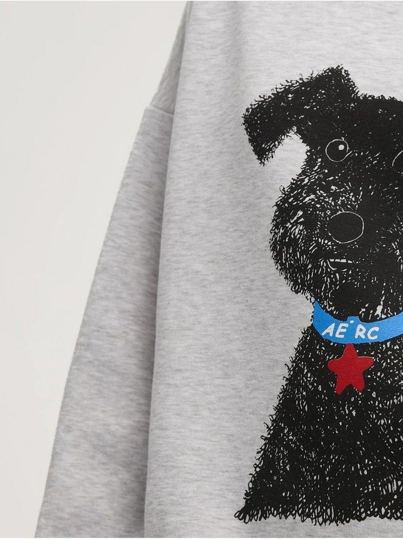 Sudadera con capucha y estampado de gran tamaño hiccup Gris - Kiabi