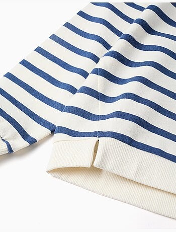 Sudadera de algodón a rayas con bordado