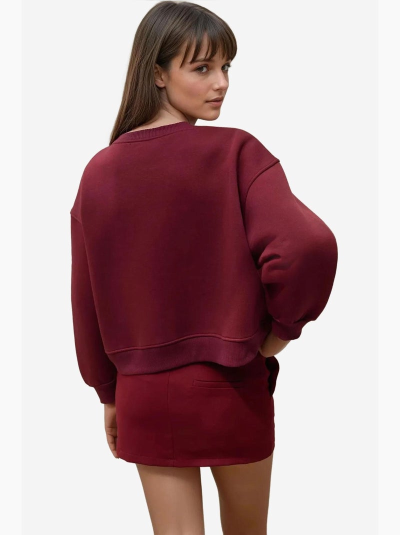 Sudadera de algodón bordada de corte relajado hiccup Rojo burdeos - Kiabi