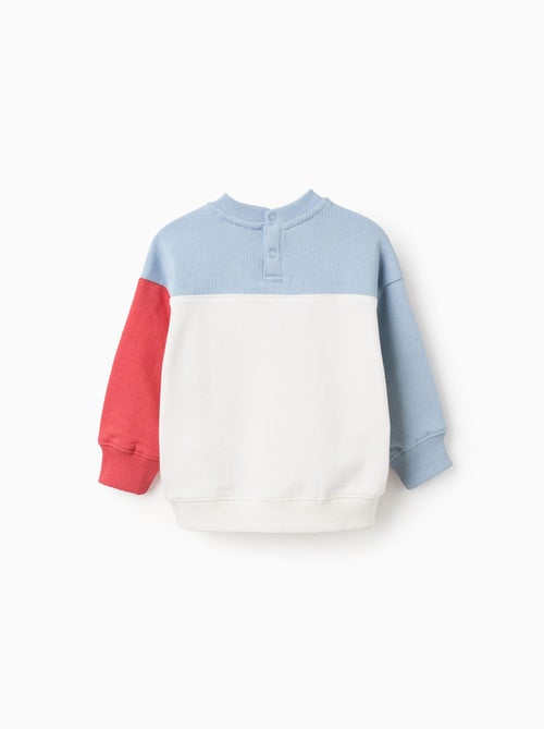 Sudadera de algodón con bloque de color - Kiabi