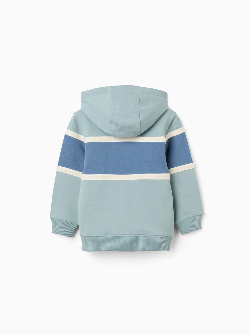 Sudadera de algodón con capucha y bloques de color Verde claro - Kiabi