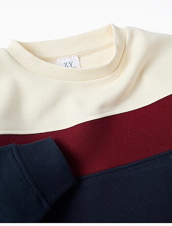 Sudadera de algodón perchado con bloque de colores