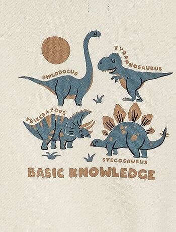 Sudadera de chándal con capucha