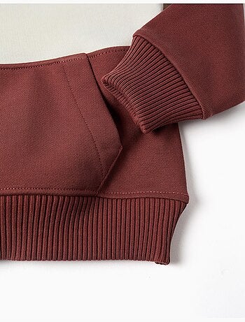 Sudadera de felpa con capucha y bloque de colores