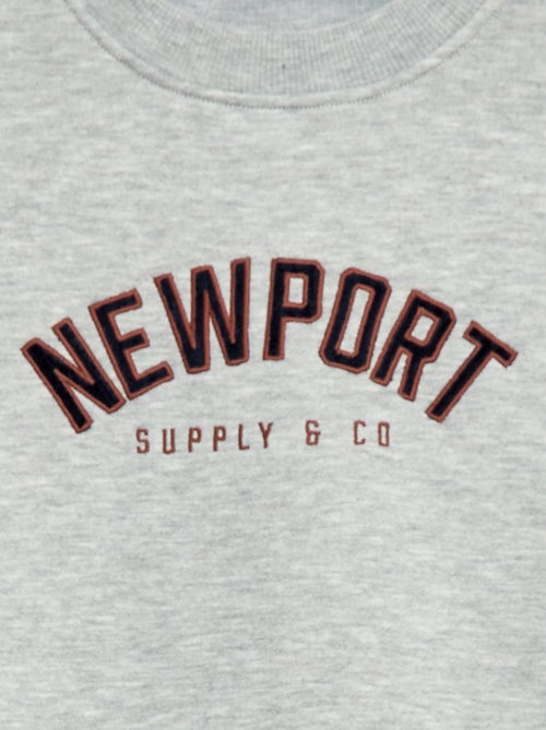 Sudadera de felpa con estampado de terciopelo - Kiabi