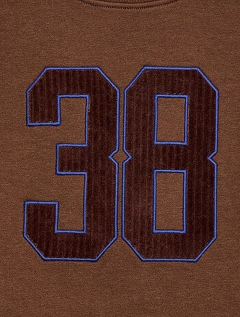 Sudadera de felpa con estampado de terciopelo