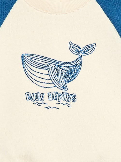 Sudadera de felpa con mangas raglán - Kiabi