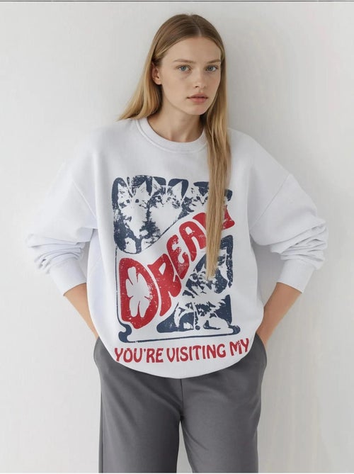 Sudadera estampada con cuello redondo hiccup - Kiabi