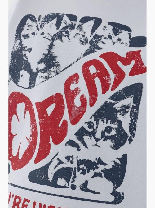 Sudadera estampada con cuello redondo hiccup - Kiabi