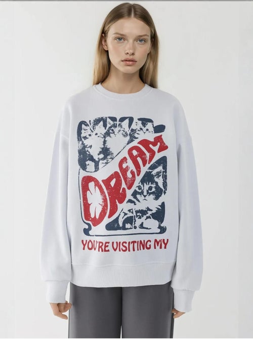 Sudadera estampada con cuello redondo hiccup - Kiabi