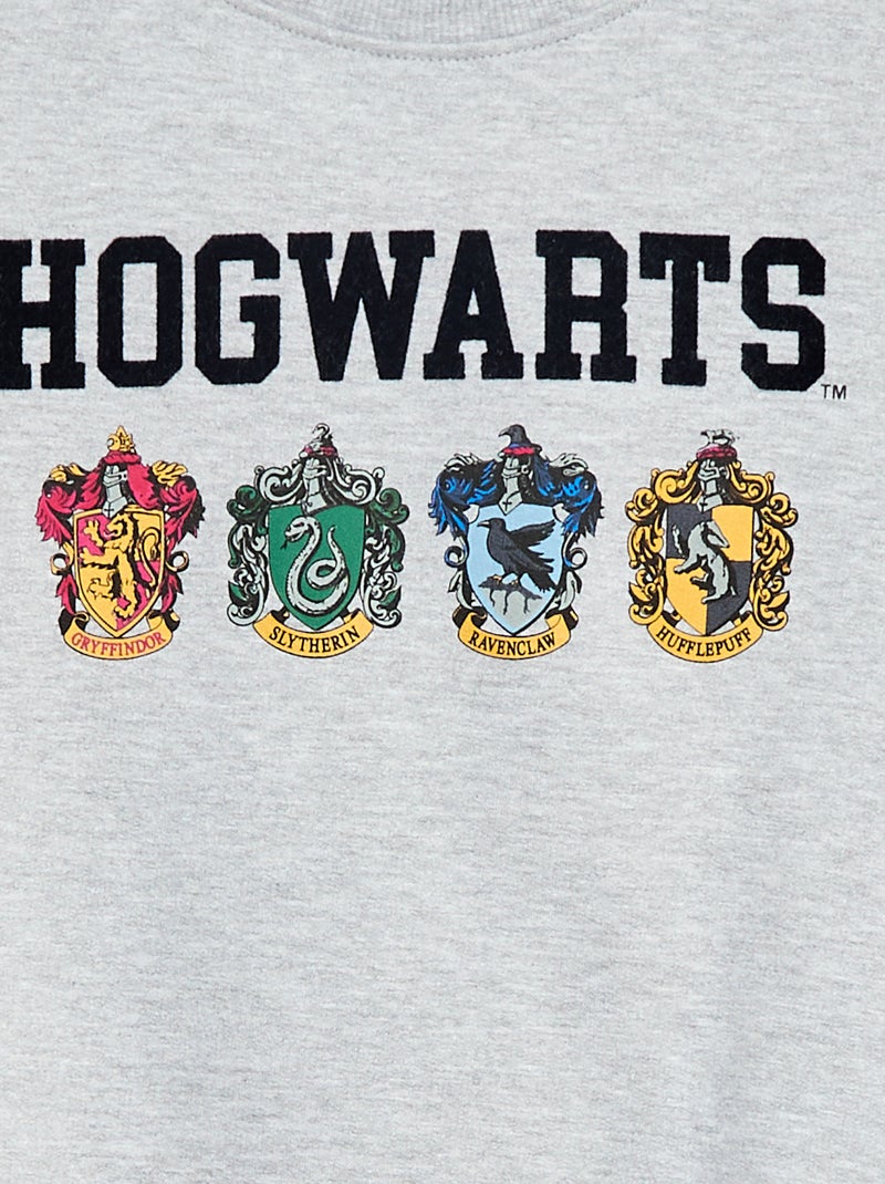 Sudadera estampada 'Harry Potter' en felpa perchada suave y cálida Gris - Kiabi