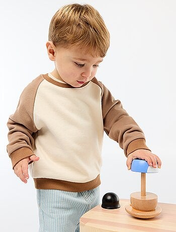 Sudadera felpa de algodón bicolor