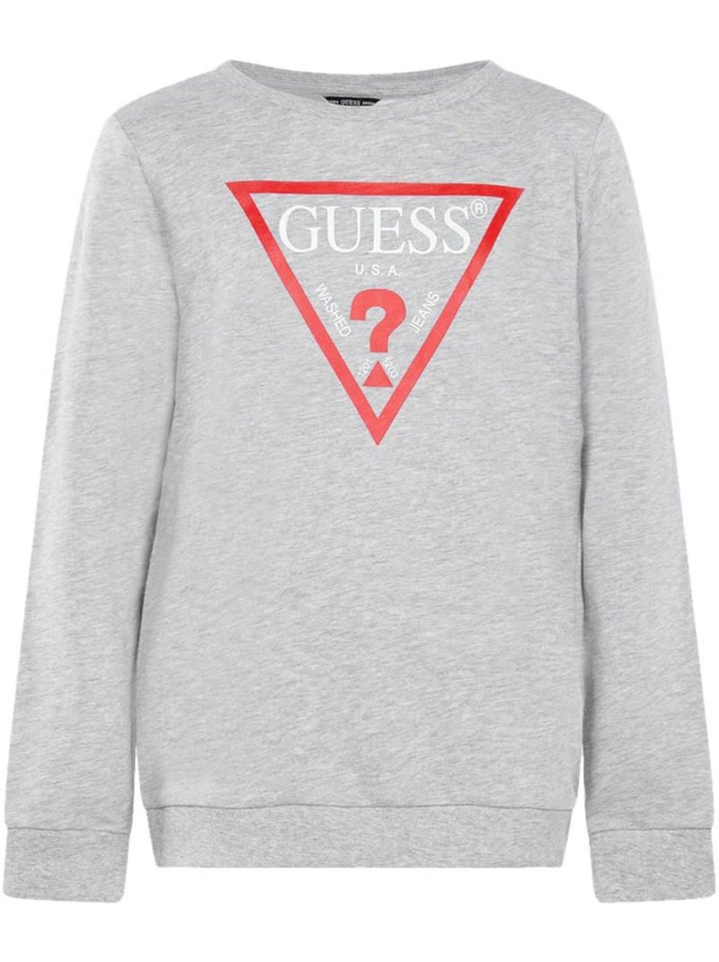 Sudadera Guess para Niño Gris plateado - Kiabi