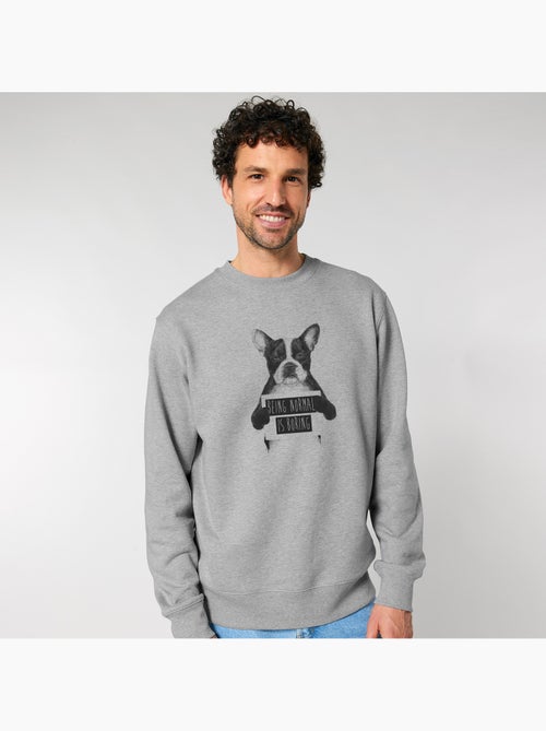 Sudadera Hombre - BEING NORMAL IS BORING - Kiabi