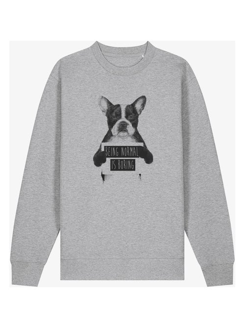 Sudadera Hombre - BEING NORMAL IS BORING - Kiabi