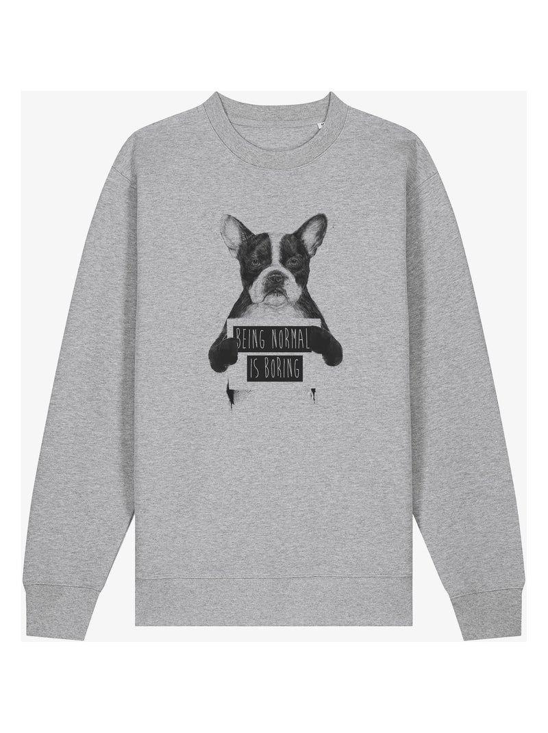 Sudadera Hombre - BEING NORMAL IS BORING Gris jaspeado - Kiabi