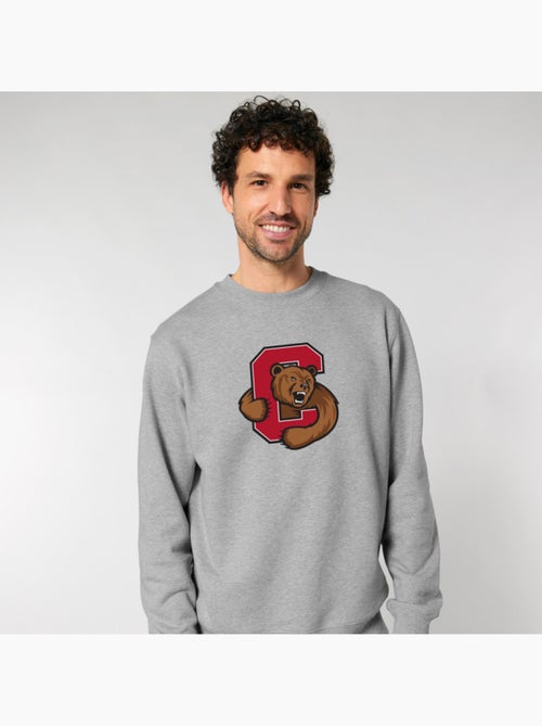 Sudadera Hombre - CORNELL UNIVERSITY C BEAR - Kiabi