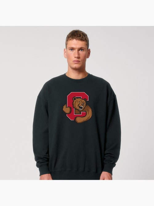 Sudadera Hombre - CORNELL UNIVERSITY C BEAR - Kiabi Sudadera Hombre - CORNELL UNIVERSITY C BEAR - Kiabi