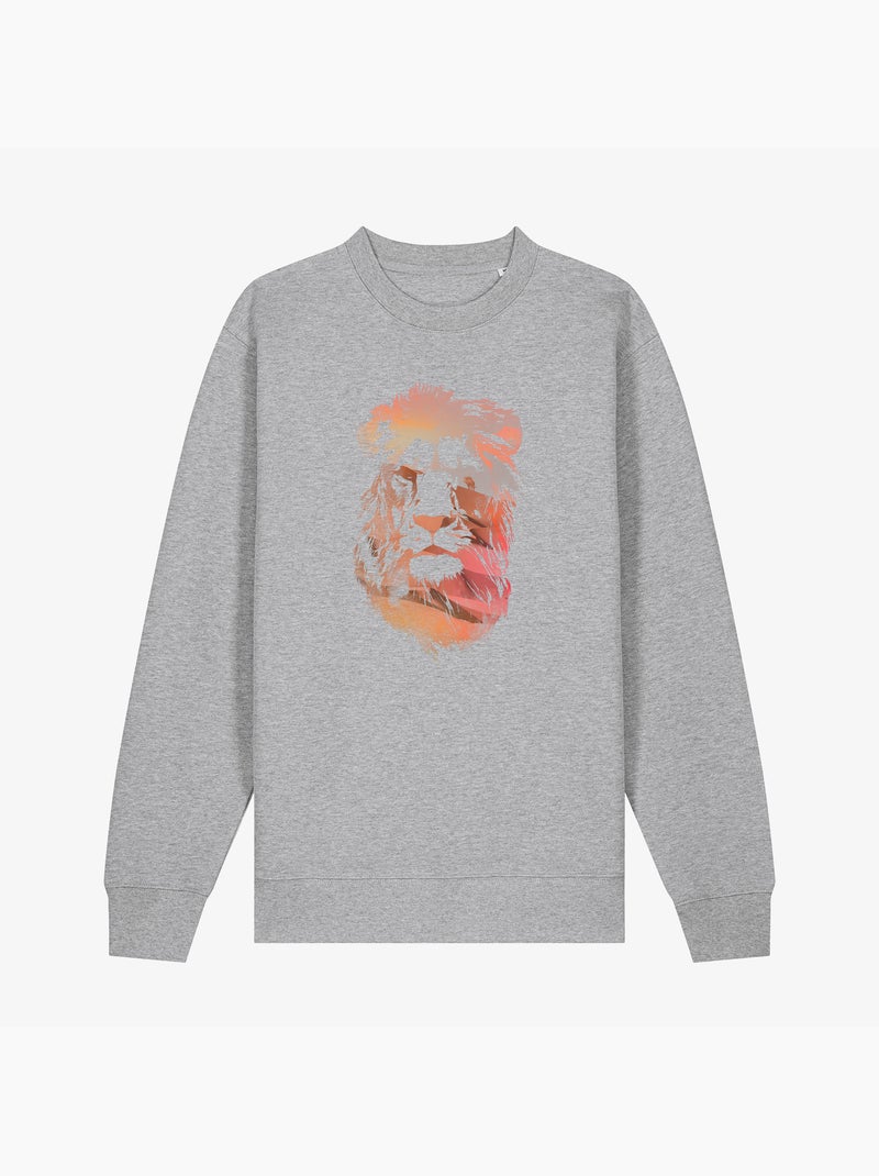 Sudadera Hombre - DESERT LION Gris jaspeado - Kiabi