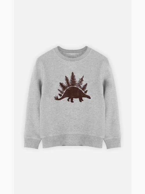 Sudadera infantil STEGOFOREST - Kiabi