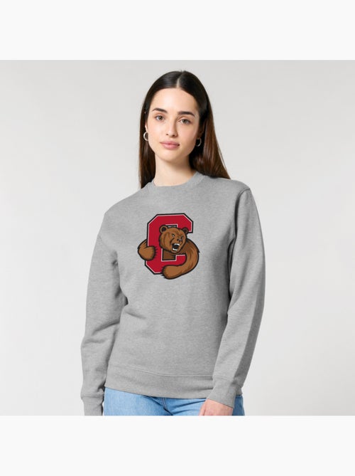 Sudadera Mujer - CORNELL UNIVERSITY C BEAR - Kiabi