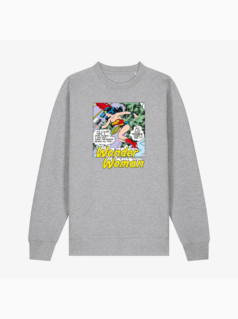 Sudadera Mujer - WONDER WOMAN I DO KNOW TROUBLE WHEN I SEE IT Gris jaspeado - Kiabi