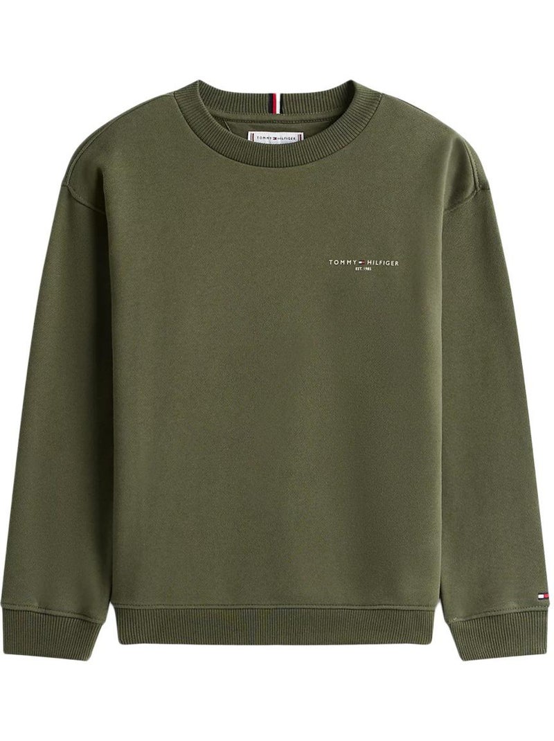Sudadera Niño Tommy Hilfiger Verde - Kiabi