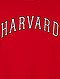     Sudadera oversize 'Harvard University' vista 2
