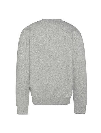 Sudadera para hombre Schott Rdc Print