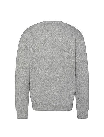 Sudadera para hombre Schott Sudadera pequeña