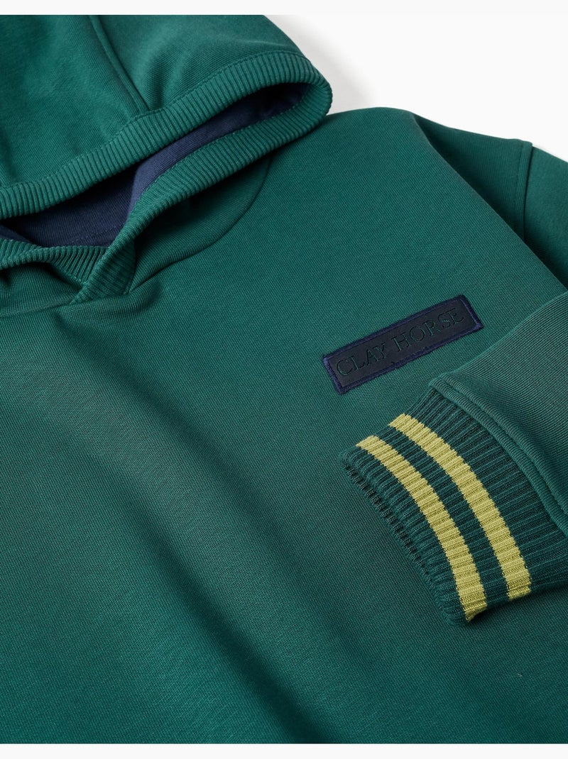 Sudadera perchada con capucha y estampado clay horse Verde oscuro - Kiabi