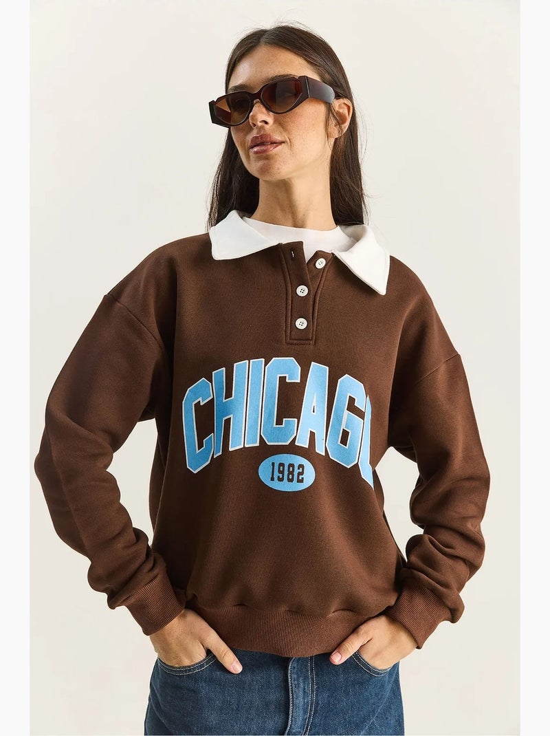 Sudadera polo de algodón de punto extragrande lucci Marrón oscuro - Kiabi