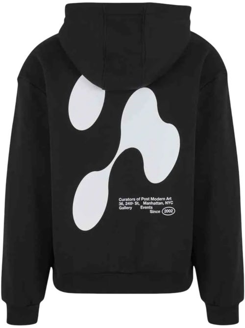 Sudadera theory of anomaly de suave para hombre - mister tee - Kiabi
