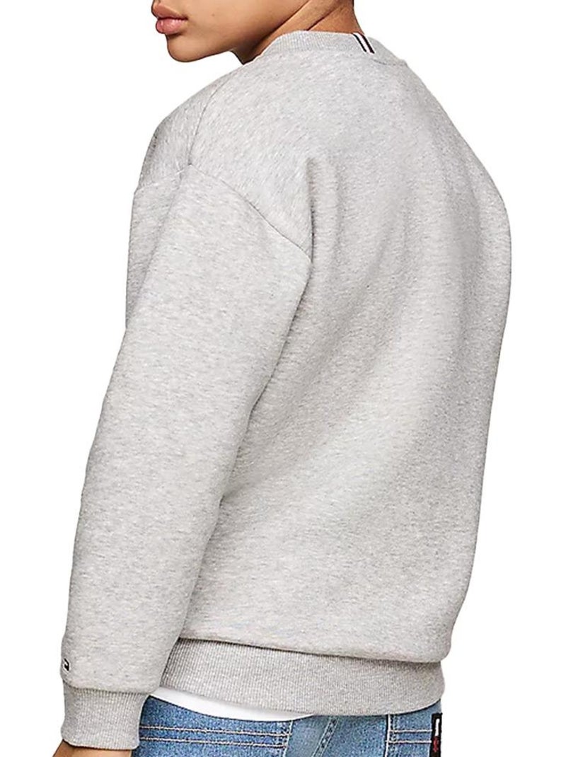 Sudadera Tommy Hilfiger para Niño Gris plateado - Kiabi