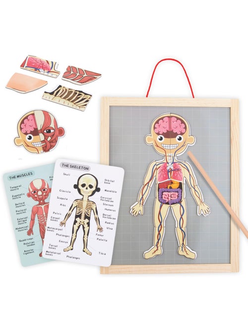 Tabla magnética anatomía cuerpo humano madera mamabrum - Kiabi