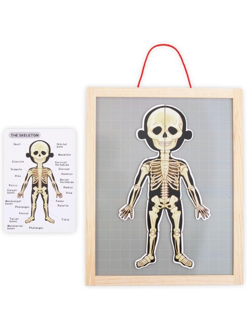 Tabla magnética anatomía cuerpo humano madera mamabrum - Kiabi