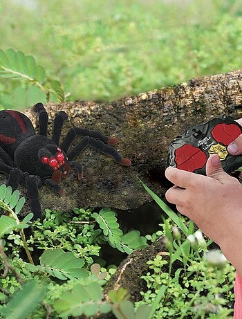 Tarántula realista RC con efectos de luz