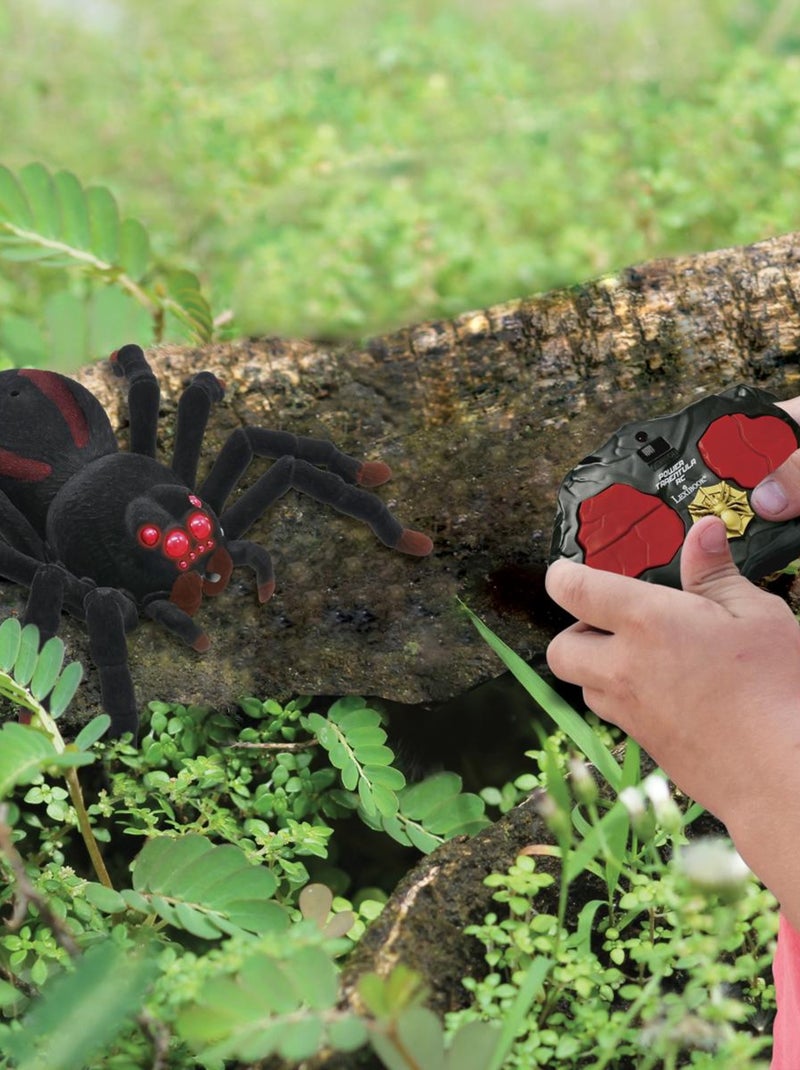 Tarántula realista RC con efectos de luz Negro - Kiabi