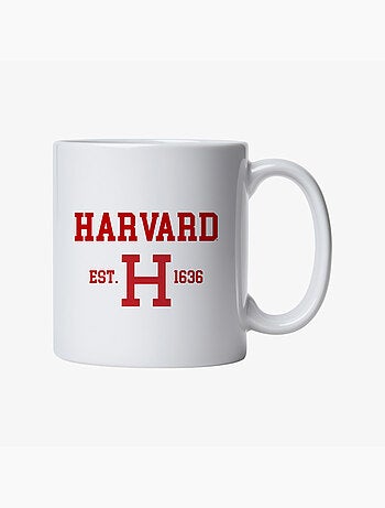 Taza HARVARD EST 1636