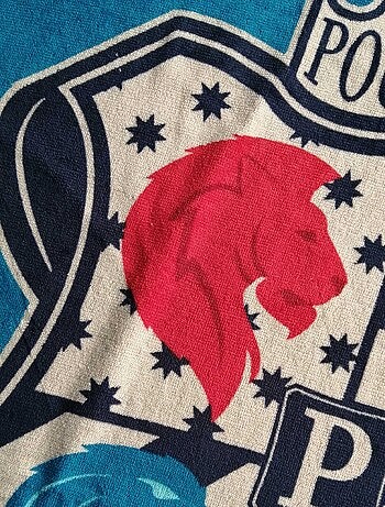 Toalla de playa 'Harry Potter'