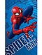     Toalla de playa 'Spiderman' vista 1
