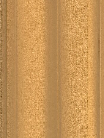 Transparente con anillas negras extraíbles